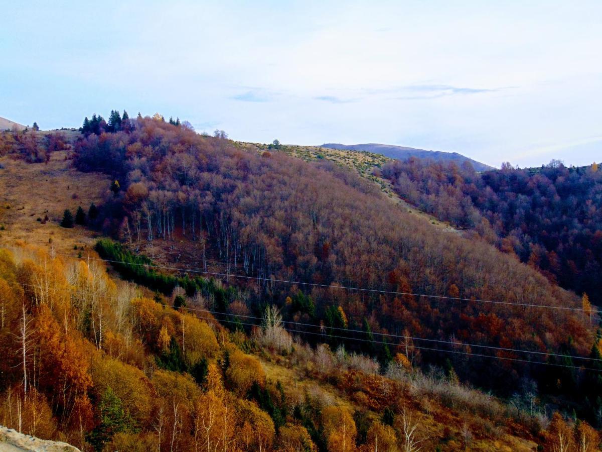 Sunny Days Apartman Kopaonik Kültér fotó