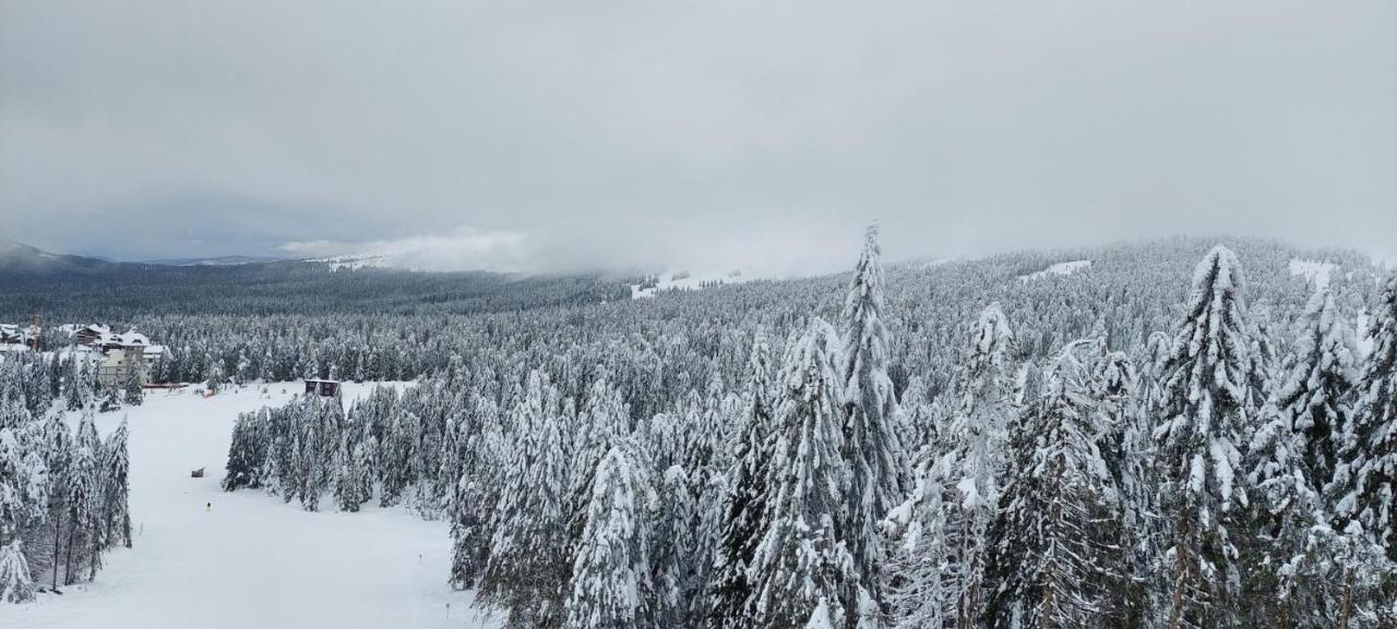 Sunny Days Apartman Kopaonik Kültér fotó